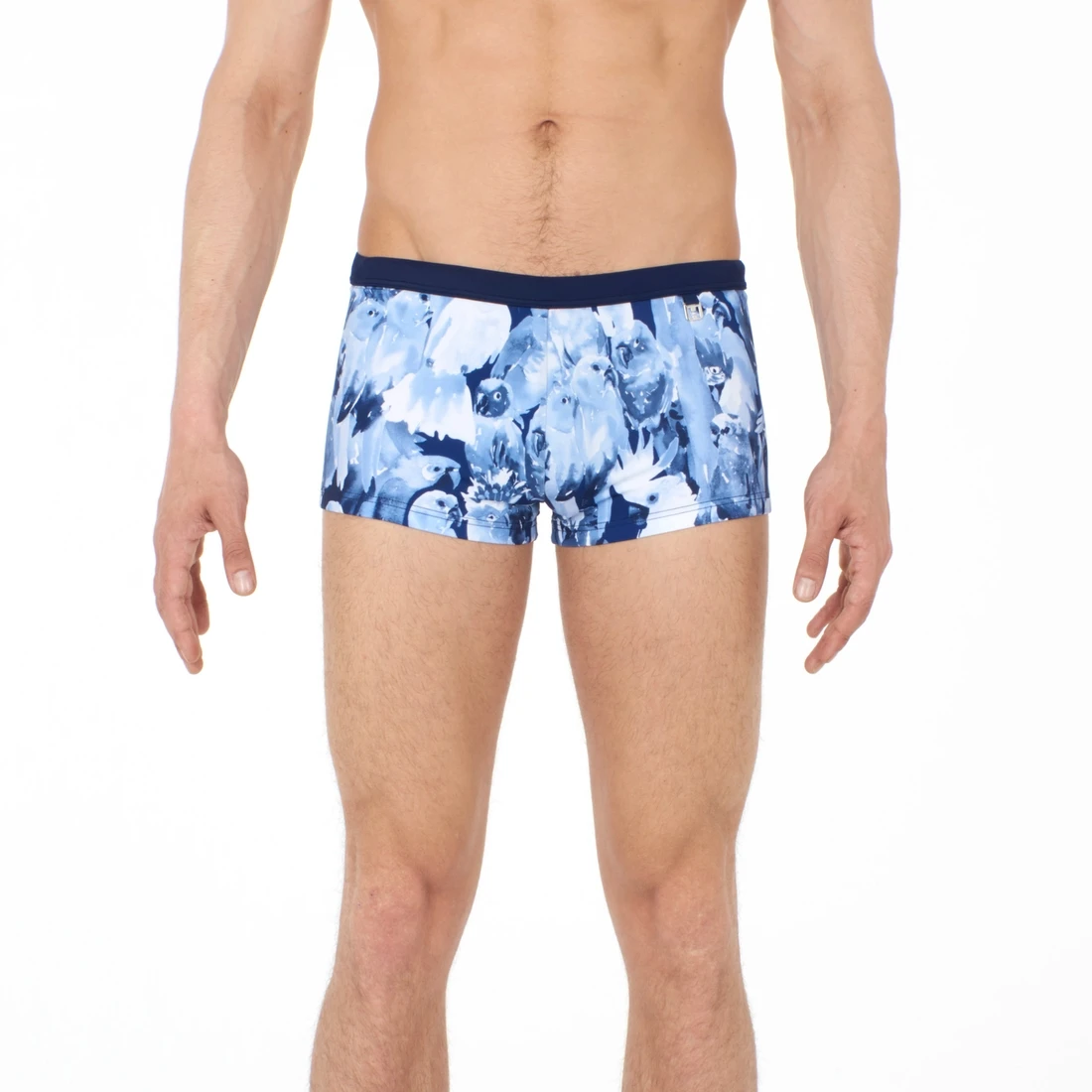 Hom Papagayo 2 Hom Papagayo – Image 2