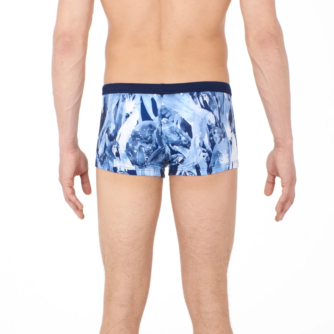 Hom Papagayo 3 Hom Papagayo – Image 3